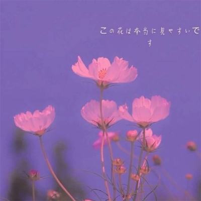 喵与筑台版手游下载